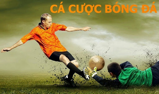 Cá cược bóng đá Sky88