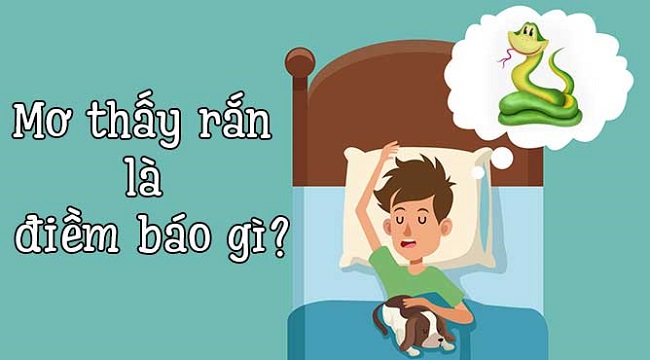 giải mã giấc mơ thấy nhiều rắn
