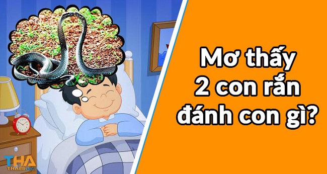 giải mã giấc mơ thấy rắn 2 đầu