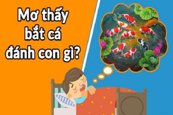 Giải đáp: nằm mơ thấy cá đánh con gì, số mấy cho chuẩn?