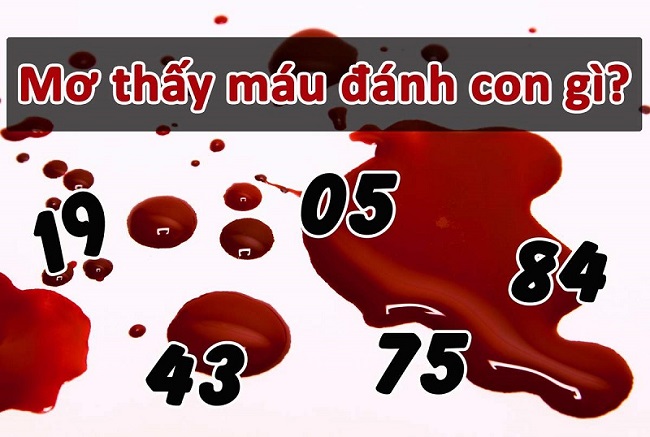 mơ thấy máu đánh đề con gì