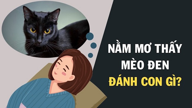 nam mo thay meo danh so may 1