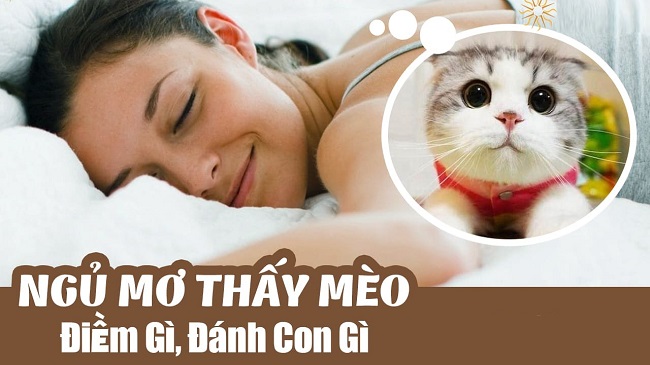 nằm mơ thấy mèo cắn đánh số mấy