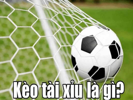cá độ bóng đá tài xỉu là gì