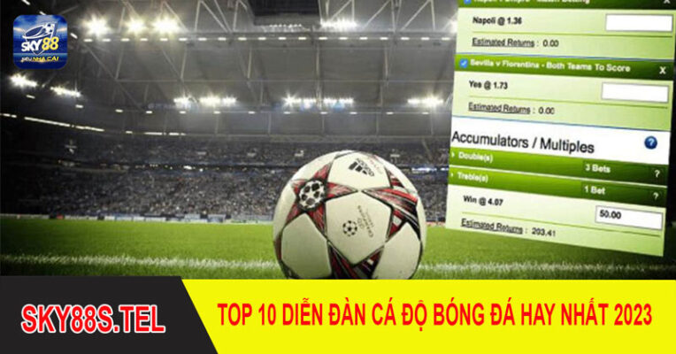 Diễn đàn cá độ bóng đá uy tín