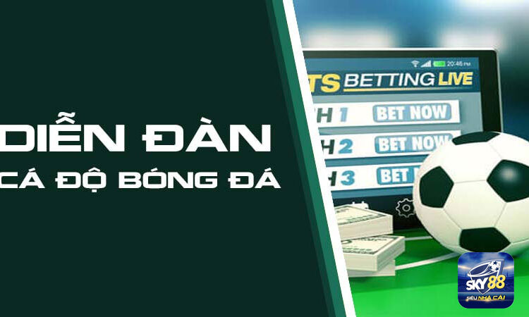 Top 10 diễn đàn cá độ bóng đá uy tín hàng đầu 2023 1 Diễn đàn cá độ bóng đá có đặc điểm gì?
