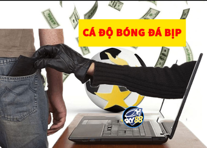 Cá độ bóng đá bịp là gì?