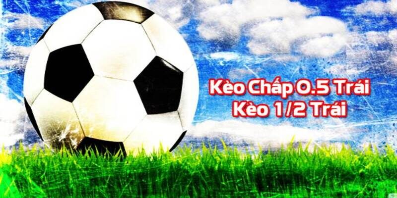 Cách chơi kèo chấp 1/2 tại sky88