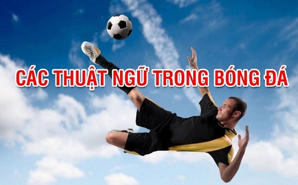 Thuật ngữ cá độ trong bóng đá