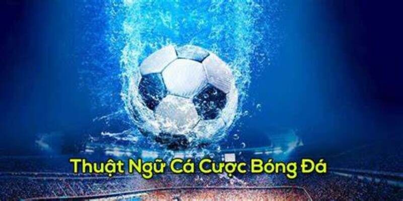 Một số thuật ngữ cá độ bóng đá phổ biến được sử dụng rộng rãi