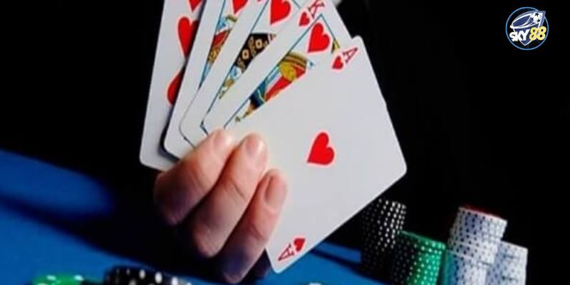 Sâm lốc là gì?