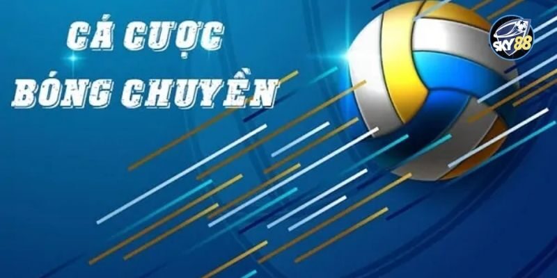 Khám phá các hình thức cá cược bóng chuyền nổi bật 