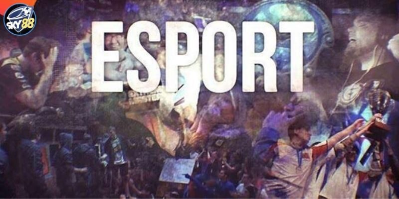 Nhà cái Sky88 cung cấp nhiều loại hình cá cược esport 
