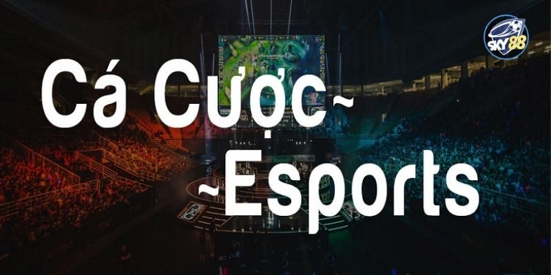 Cá cược esport, lựa chọn giải trí đẳng cấp, dẫn đầu xu thế