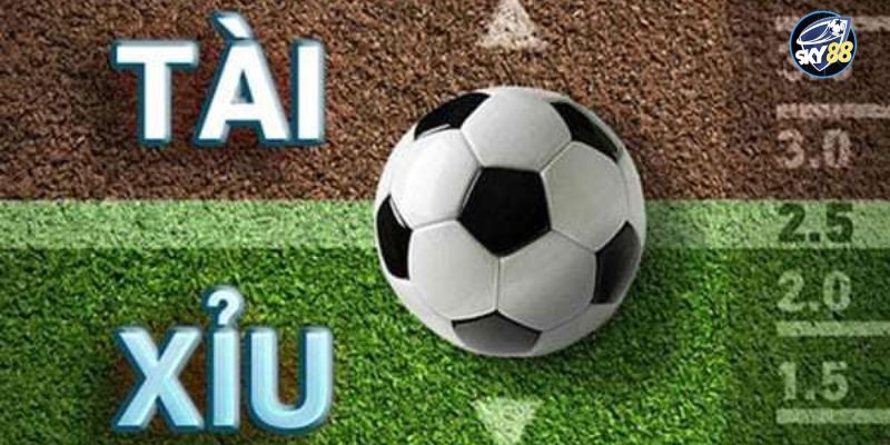 Một số kinh nghiệm đánh tài xỉu trong bóng đá bất bại