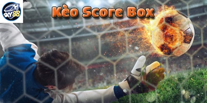 Kèo score box là gì? Bí quyết chơi kèo mới nhất 2023