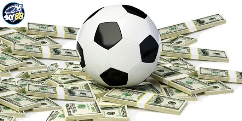 Giới thiệu về kèo score box là gì?